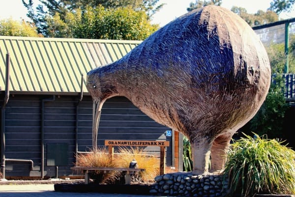 Orana Wildlife Park animal encounter